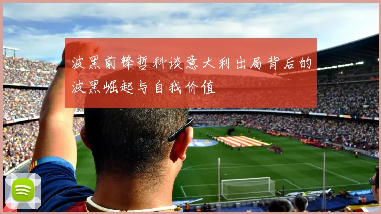 波黑前锋哲科谈意大利出局背后的波黑崛起与自我价值